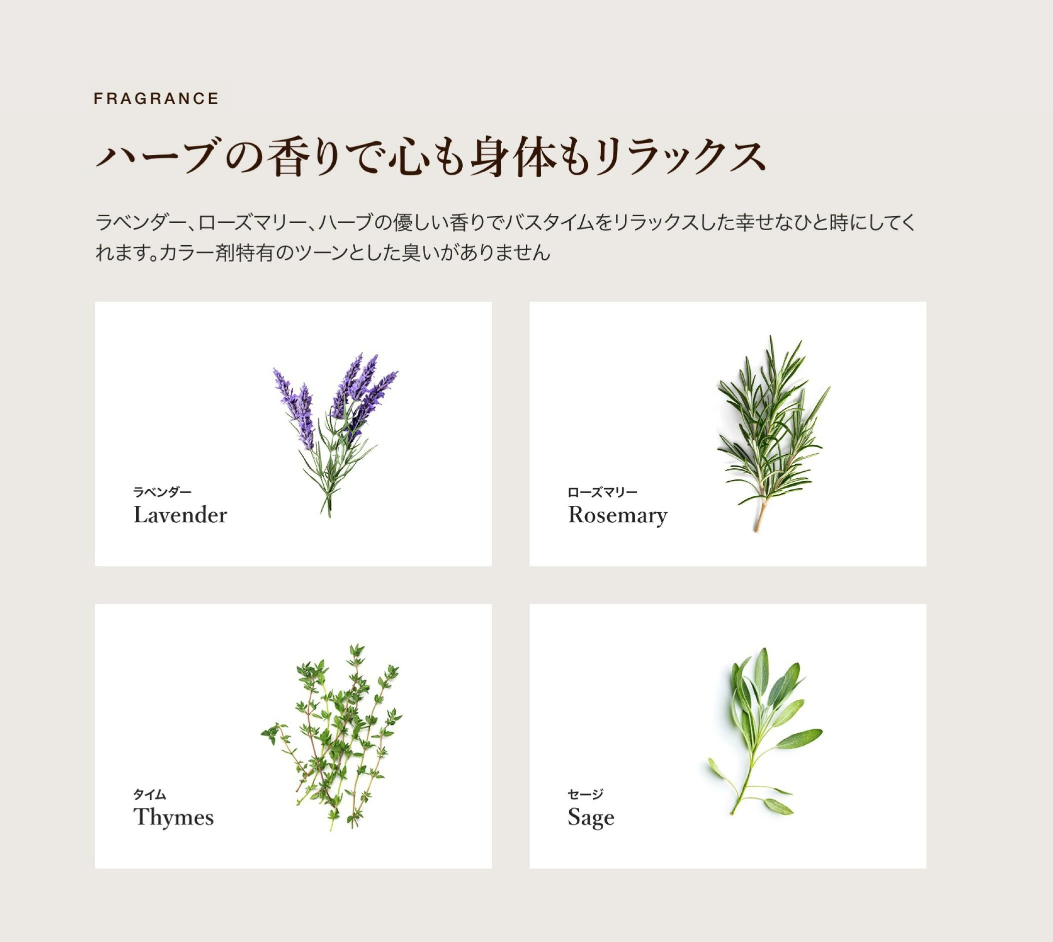 カラートリートメント同色3本セット | カラートリートメント