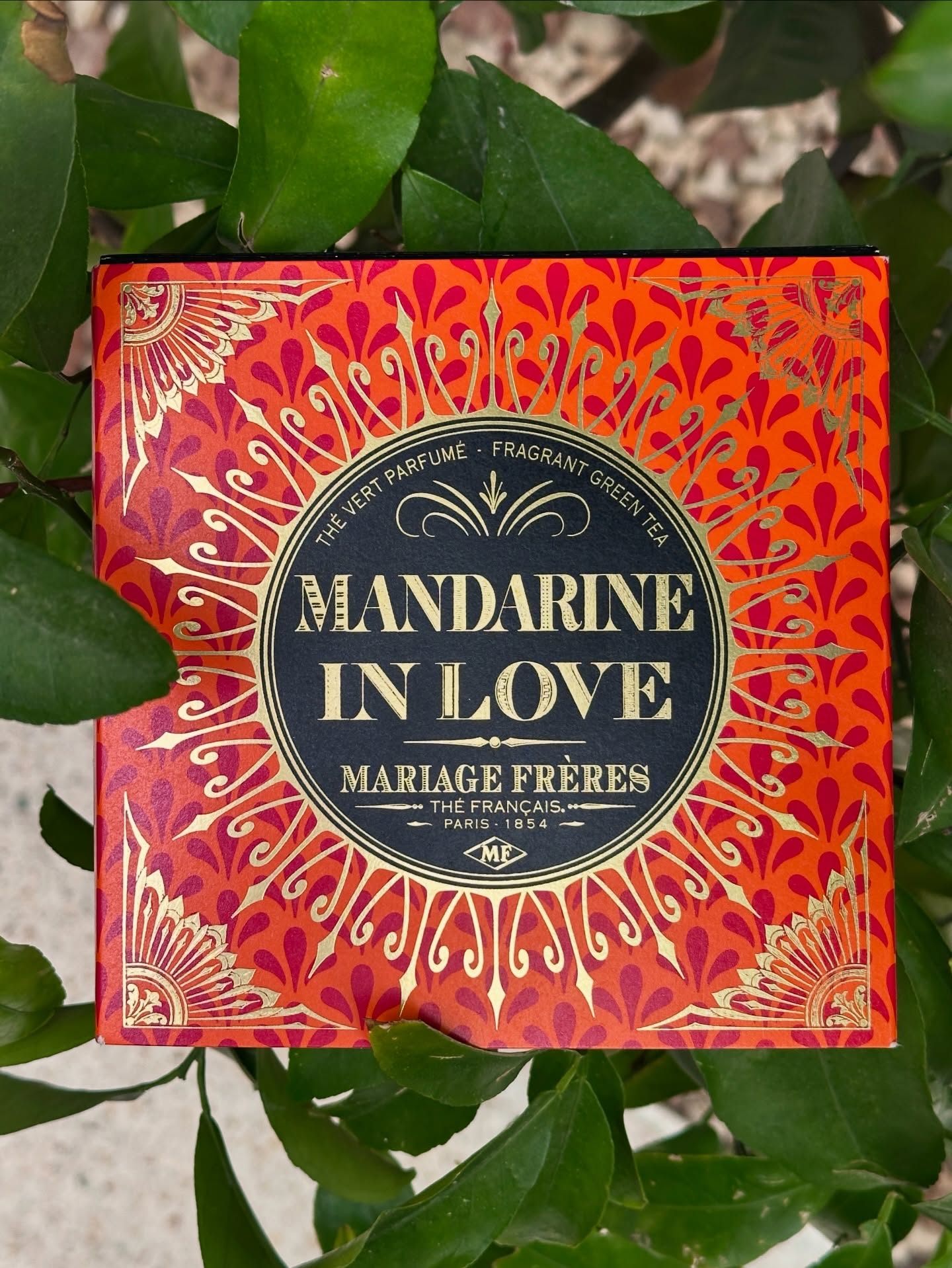 贈り物,マリアージュ フレールの体験,ティー ブックショップ