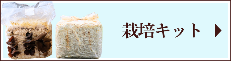 キクラゲ栽培キット・セットへのリンク