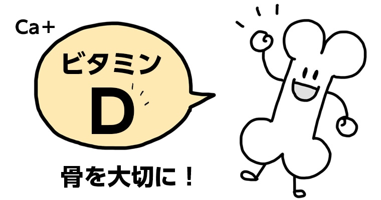 テレビでも紹介 骨粗しょう症予防にビタミンd豊富なきくらげがおすすめな理由