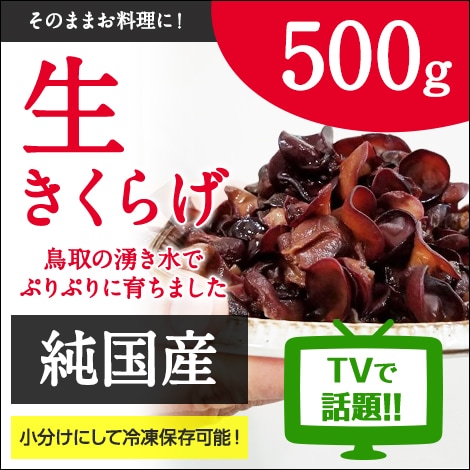 純国産 生きくらげ定期便 10回分＋1回分プレゼント NHKガッテンでも