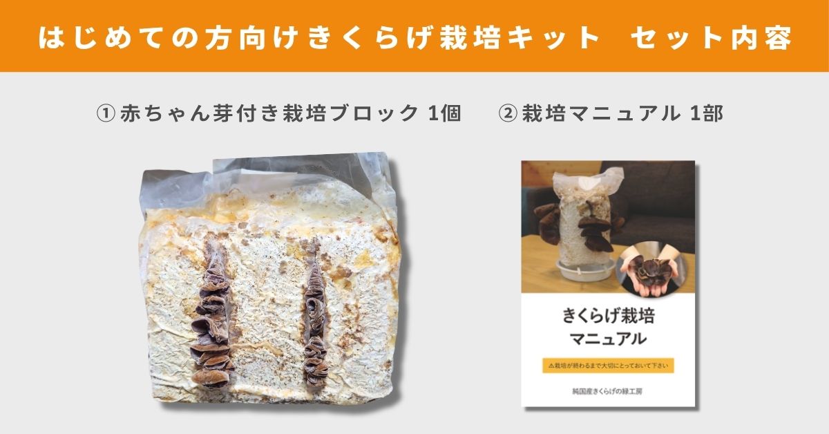 ��񻺤����餲���ݥ��åȤΥ��å����Ƥ��֤������դ����ݥ֥��å�1�ĤȺ��ݥޥ˥奢��1��Ǥ�