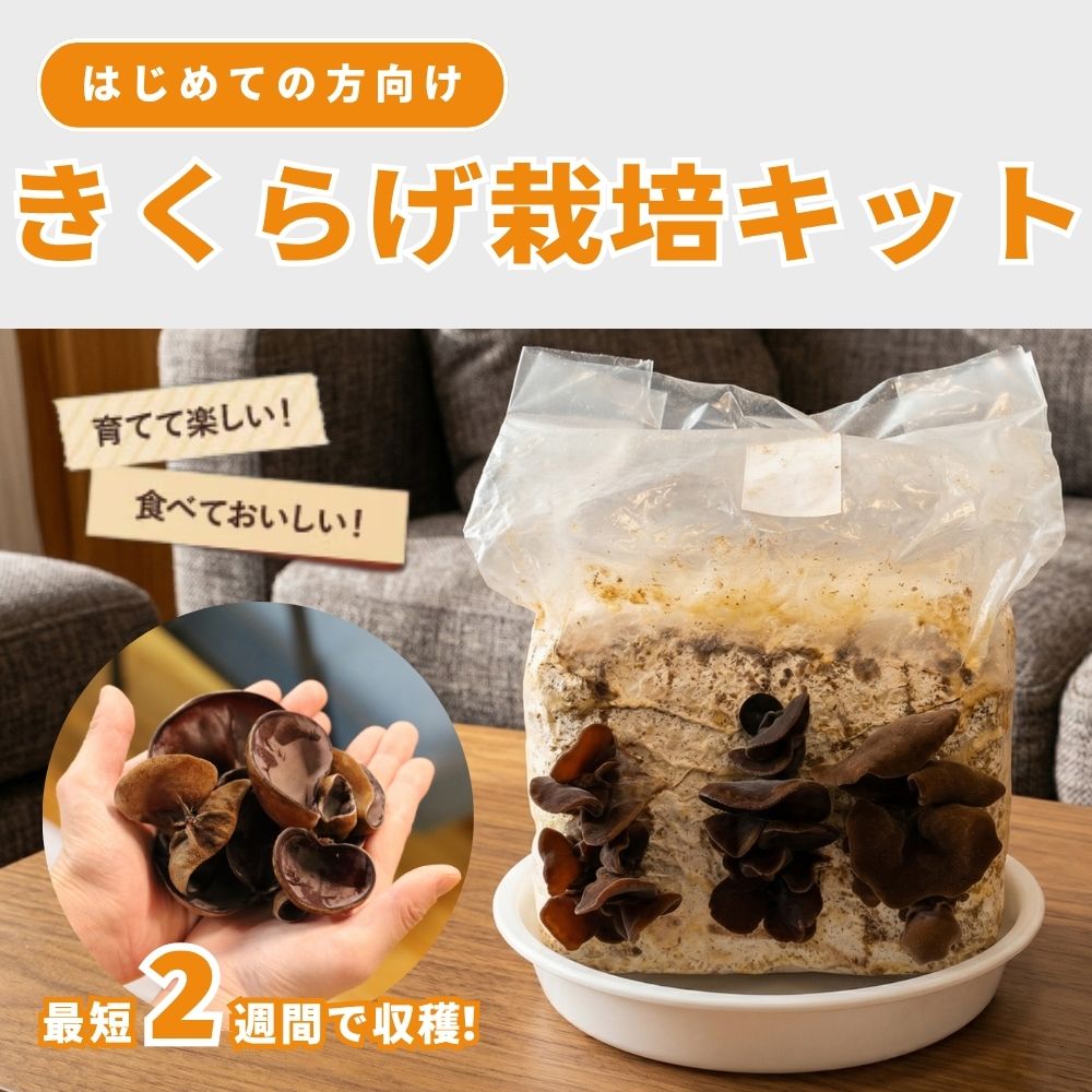 �й�˼����͵����ʤ����餲���ݥ��å� �Ȥ줿�Ƥο����ʤ����餲���ڤ���뤪�����Ǥ��󤿤󤭤��餲���ݥ��å� ���٤ƤӤä��ꡪ�������˺Τ줿�ƤΤפ�פ��������餲���θ����������ˤ������ᡪ