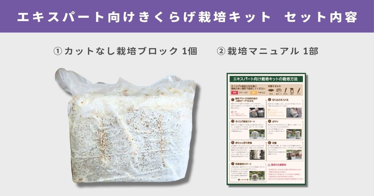 �й�˼�Υ������ѡ��ȸ���1����Ϥ���뤭���餲���ݥ��åȤΥ��å����Ƥϥ��åȤʤ����ݥ֥��å�1�ĤȺ���������1��Ǥ�