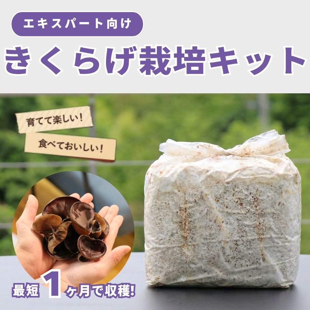 �й�˼����͵����ʤ����餲���ݥ��å� �������ѡ��ȸ��� 1����Ϥ���뤭���餲���ݥ��å�