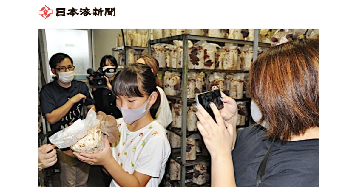 8月21日開催のきくらげ自由研究イベントを日本海新聞にて取り上げていただきました