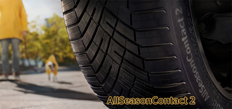 ������ͥ󥿥� AllSeasonContact 2�ҥ����륷�����󥳥󥿥��� 2��