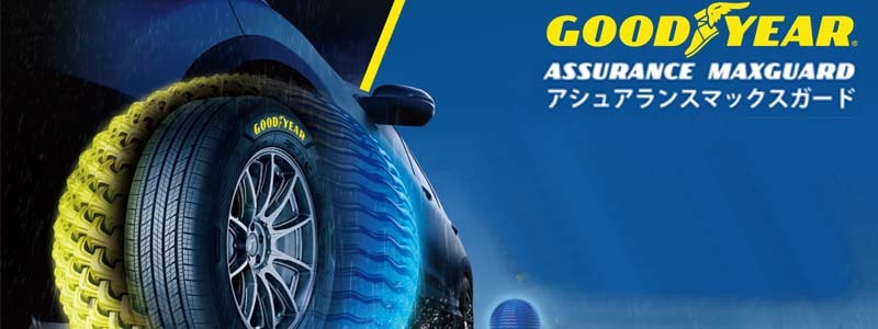 ���åɥ��䡼ASSURANCE MAXGUARD�ҥ����奢��� �ޥå��������ɡ�