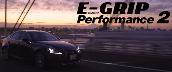 åɥ䡼EfficientGrip Performance 2ҥեȥå ѥեޥ ġ