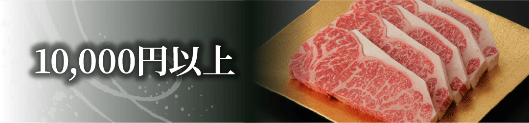 10,000円以上