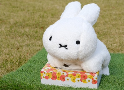 miffy (ミッフィー)・Dick Bruna キャラクターグッズの通販専門店
