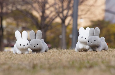 miffy (ミッフィー)・Dick Bruna キャラクターグッズの通販専門店 | miffyhouse [ミッフィーハウス]