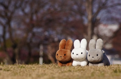 miffy (ミッフィー)・Dick Bruna キャラクターグッズの通販専門店 ...