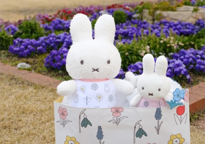 miffy (ミッフィー)・Dick Bruna キャラクターグッズの通販専門店