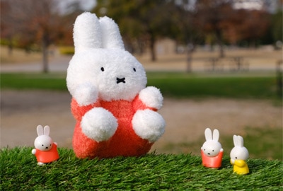 miffy (ミッフィー)・Dick Bruna キャラクターグッズの通販専門店