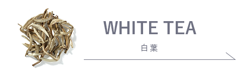 �쥹�ݥ󥷥ֲ���