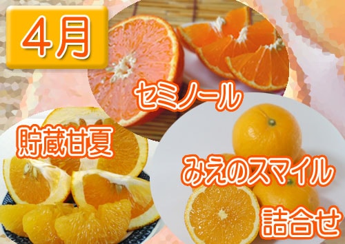 有 御浜柑橘