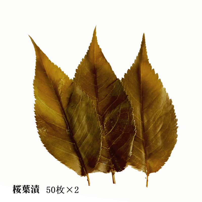 野村商店の 桜の葉 塩漬け 「桜葉漬」50枚×2 四斗樽仕込【純国産】