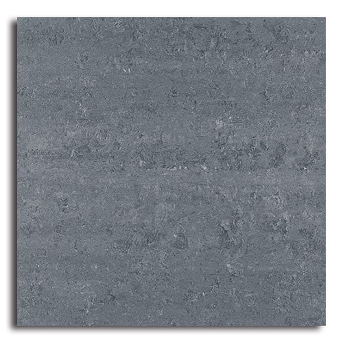 N-CHMLYA005P