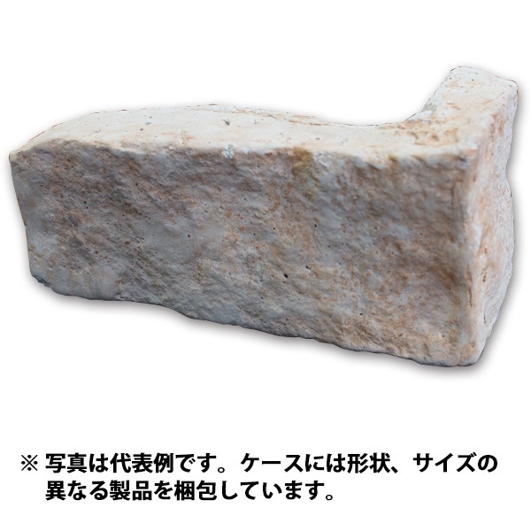 N-JN54C