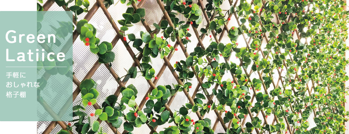 �ե��������꡼���ƥ���