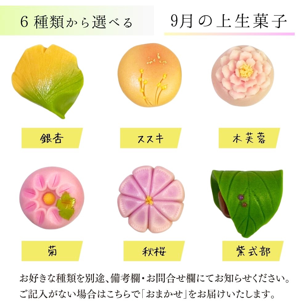 菓匠まつ井 金沢の和菓子 四季の上生菓子6個セット