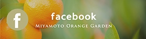 ミヤモトオレンジガーデンのフェイスブックはコチラ