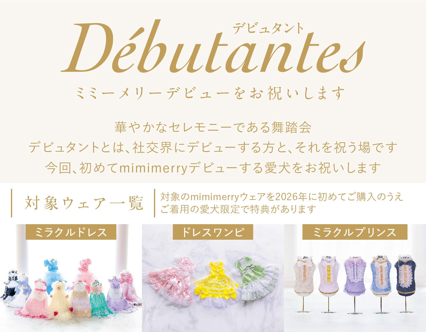 デビュタント