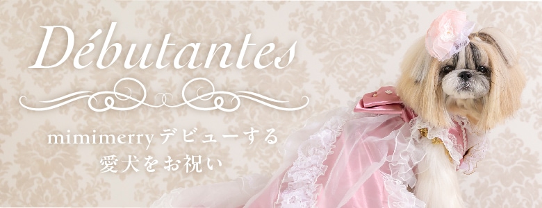 デビュタント2026