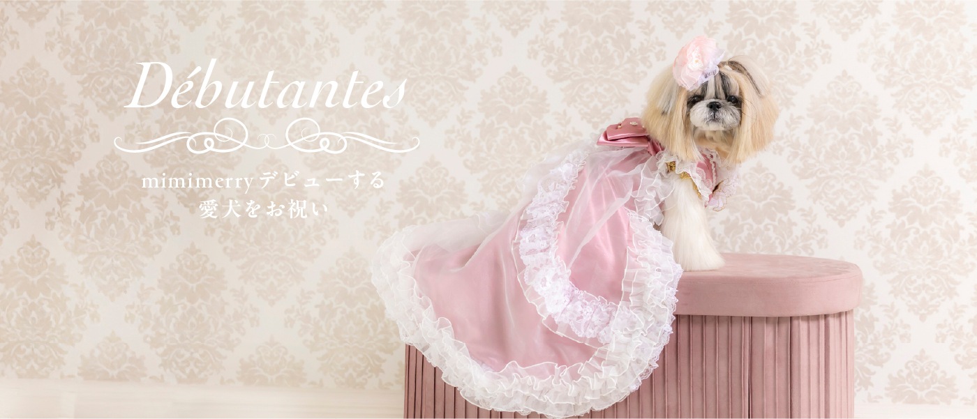 デビュタント2025