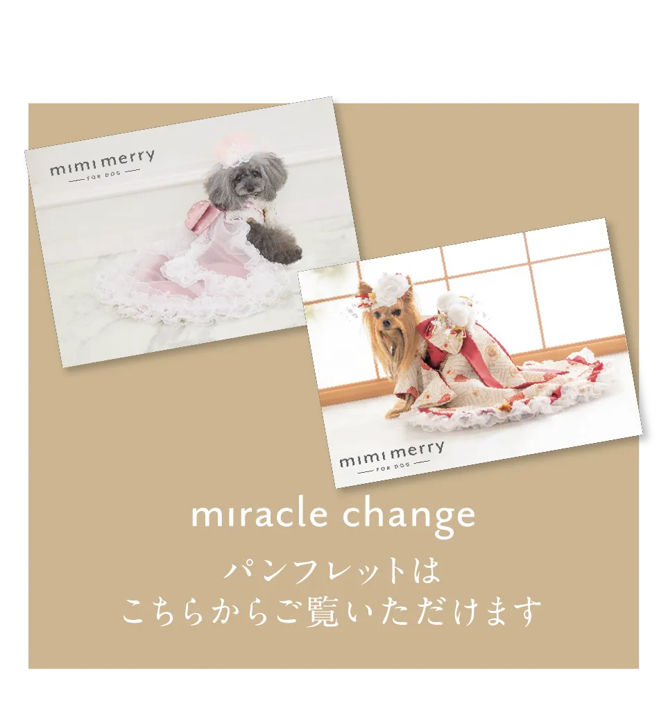 ミラクルチェンジ