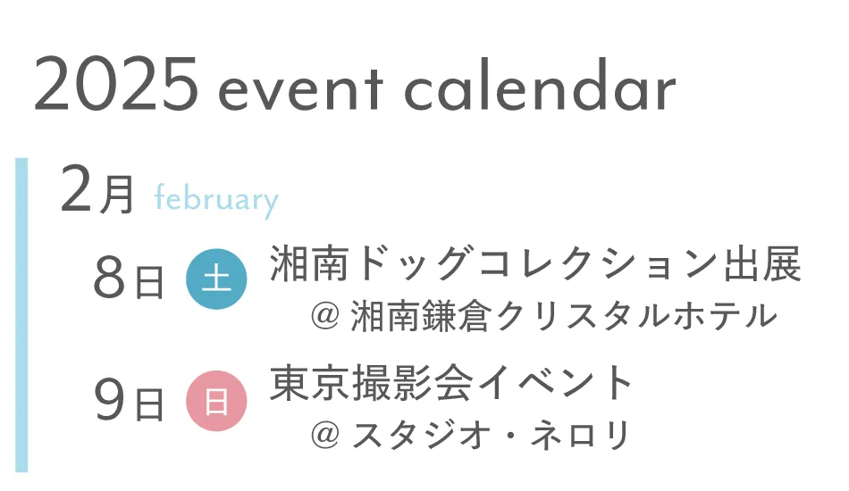 2月イベント