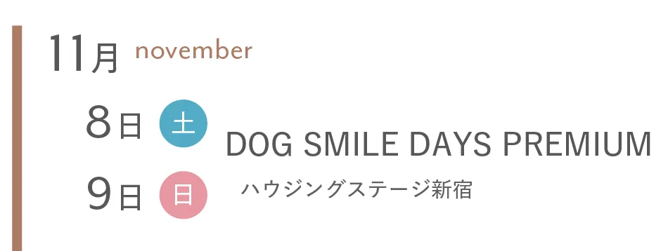 11月東京撮影会イベント