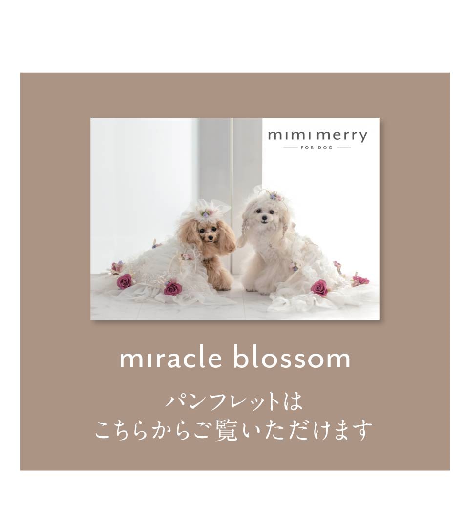  miracle blossom ミラクルブロッサム ドッグドレス 犬ドレス カタログ
