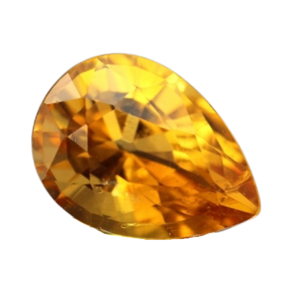 コンドロダイト