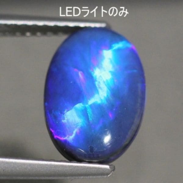 ブルーサンダー