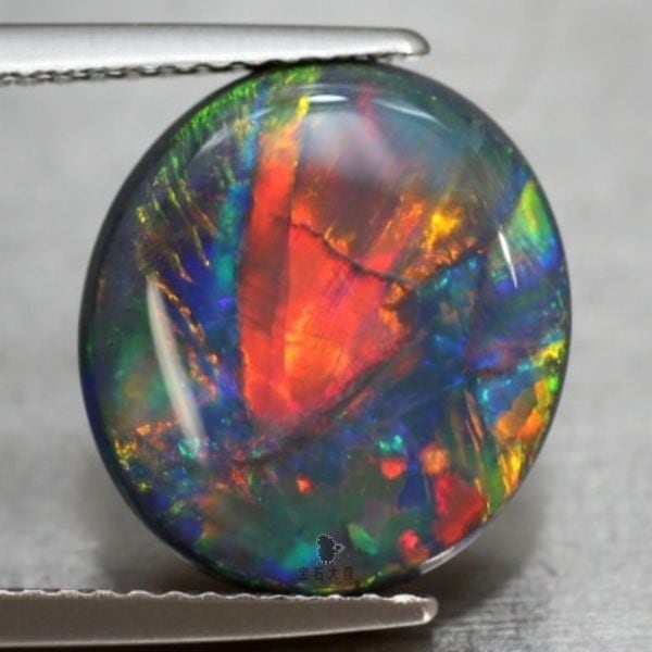 ファイヤーバード