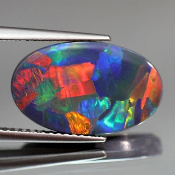 コーラルリーフ