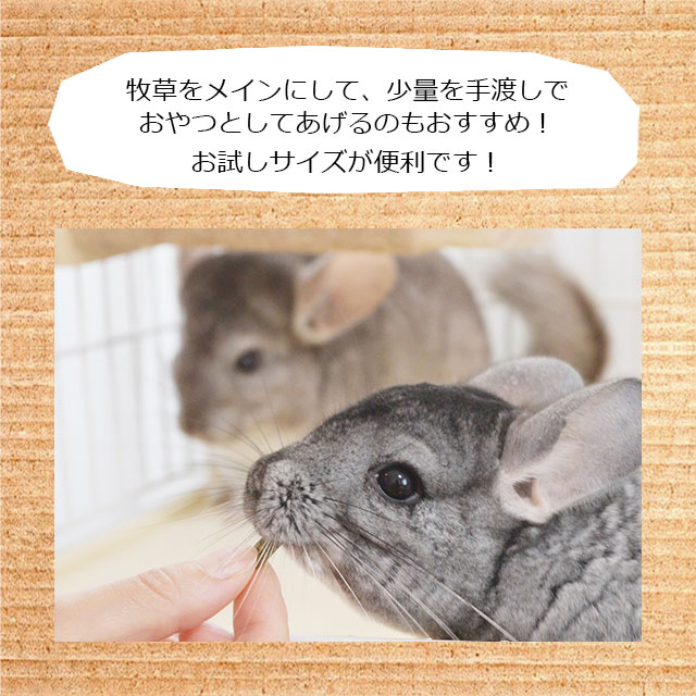 牧草嫌いな子に！キョーリン ひかりチチララ 600g 歯が削れる硬めの