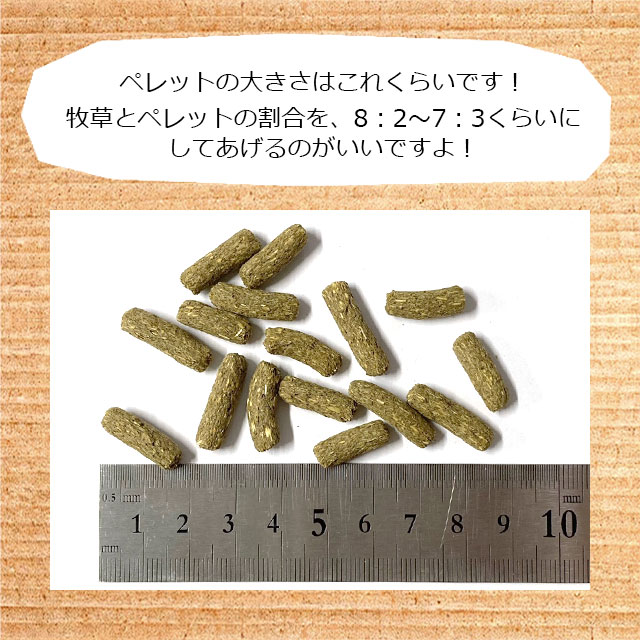 賞味期限2026/1/23】アウトレット50％OFFセール！ニチドウ