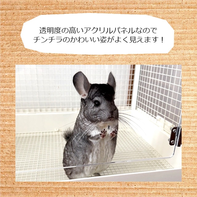 チンチラの金網じゃないケージ！ GEX クリアフロント70High チンチラに