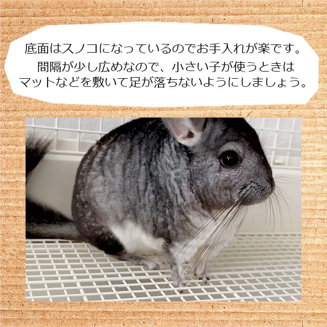 チンチラの金網じゃないケージ！ GEX クリアフロント70High チンチラに