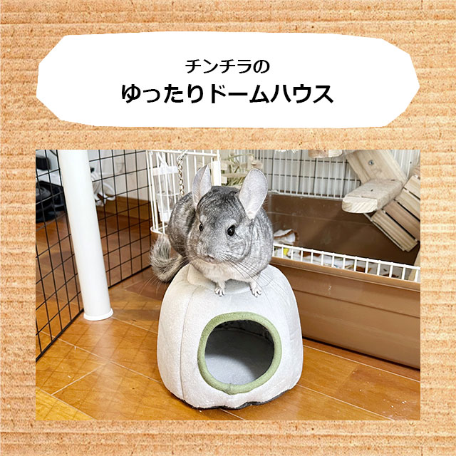 チンチラのゆったりドームハウス チンチラの隠れ家 小屋 防寒 トンネル