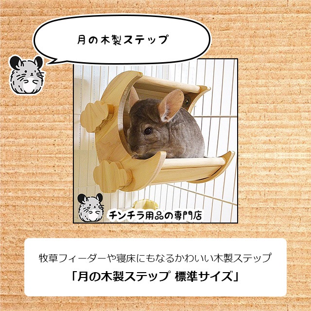 チンチラの飼育初心者セット01 基本の飼育用品セット 専門店が選んだ16