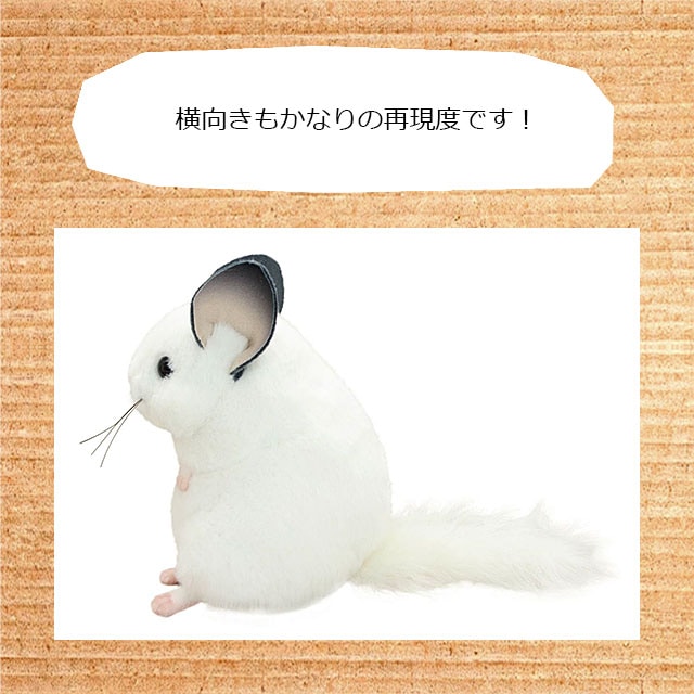 超リアルなチンチラのぬいぐるみ 人間用のチンチラグッズ 吉徳 りくの 超リアルなチンチラのぬいぐるみ 人間用のチンチラグッズ 吉徳 りくの