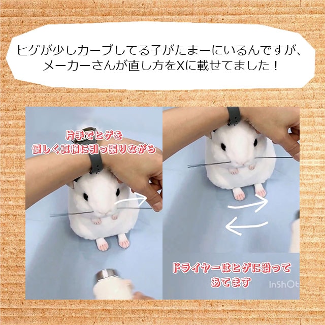 超リアルなチンチラのぬいぐるみ 人間用のチンチラグッズ 吉徳 りくの