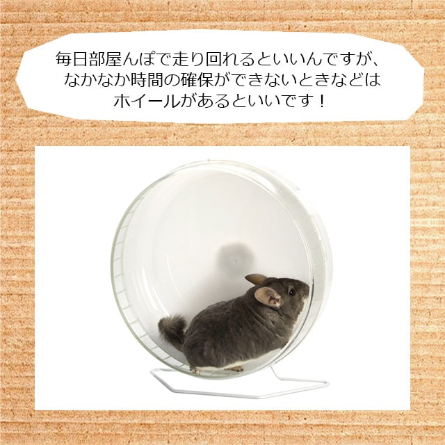 SANKO サイレントホイール フラット40 特大サイズの回し車 チンチラ