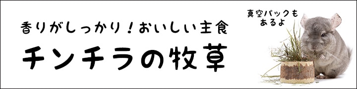 チンチラの主食！おいしい牧草