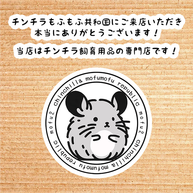 チンチラ村にご来店いただきありがとうございます