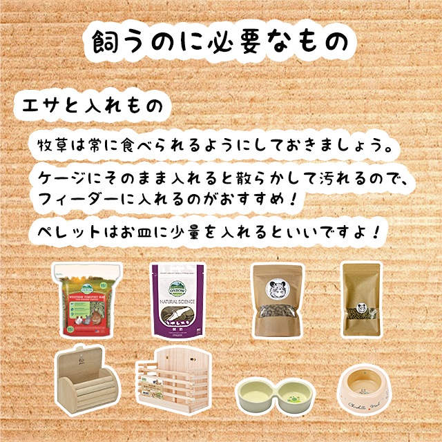 いつでも牧草が食べられるようにしましょう。フィーダーに入れると散らかりにくいです。
